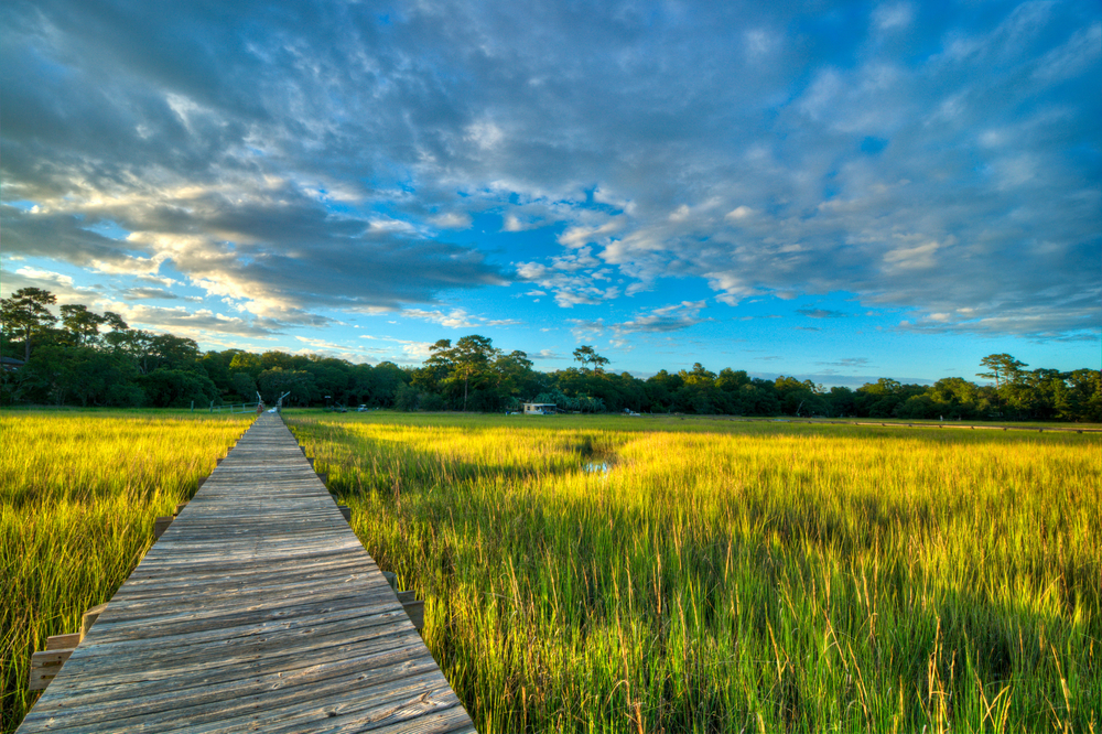 Rental Property Management Charleston Should Landlords Allow